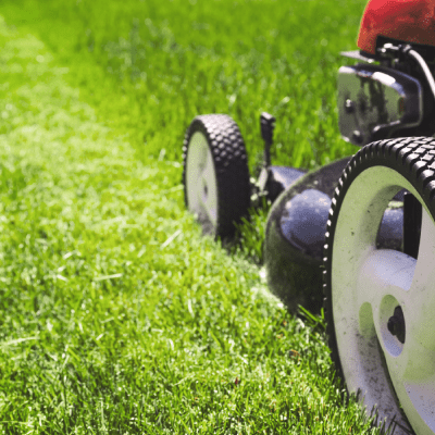 Lawn Maintenance